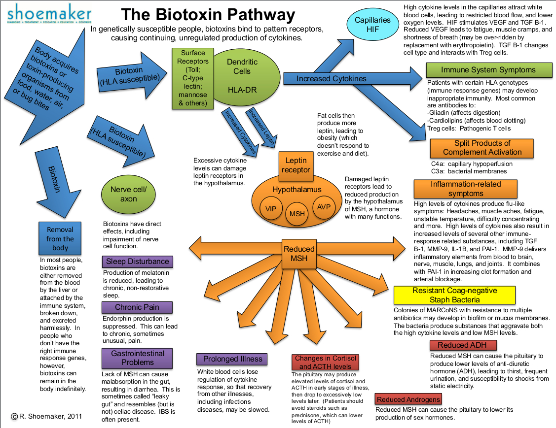 Biotoxines-pathways.jpg