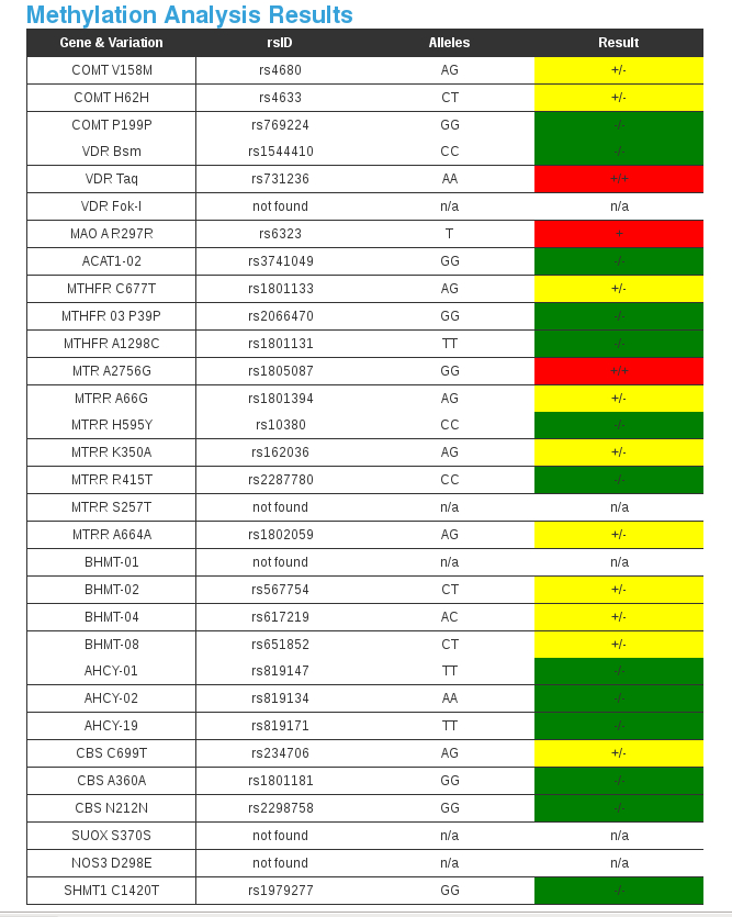 polymorphismes-cycle-methylation.jpg