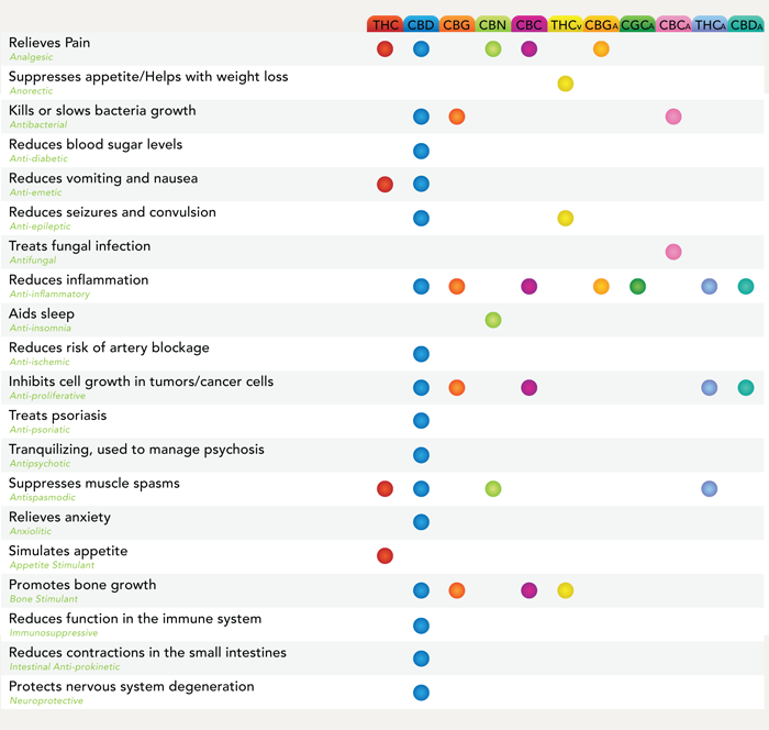 cannabinoid_chart_large.png