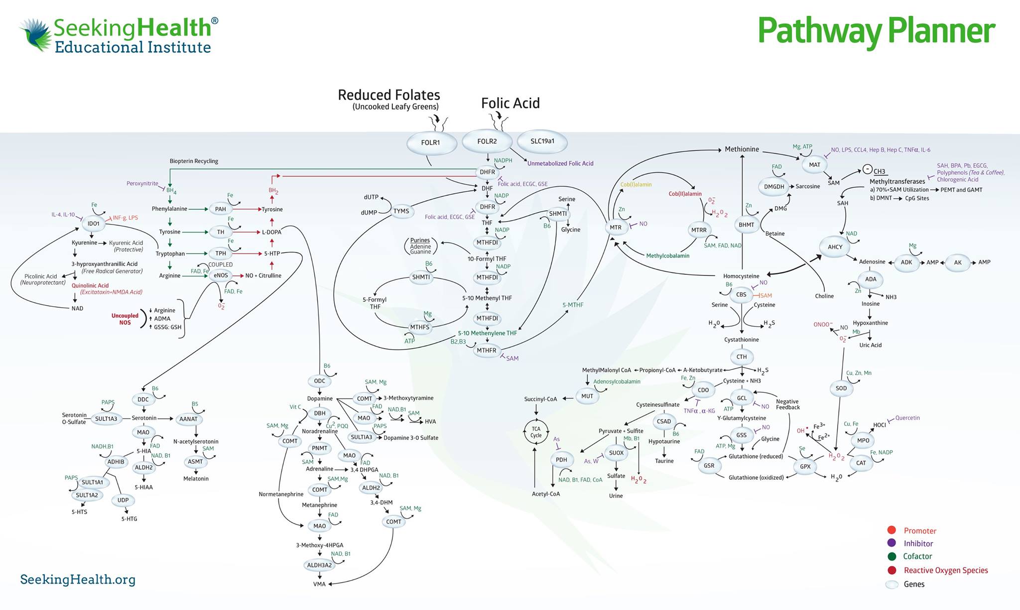 methylation-details.jpg