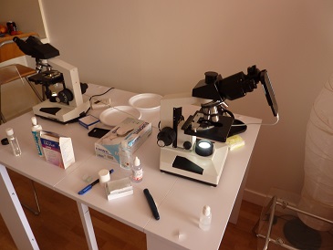 Microscope 14 juin 2014 3.jpg