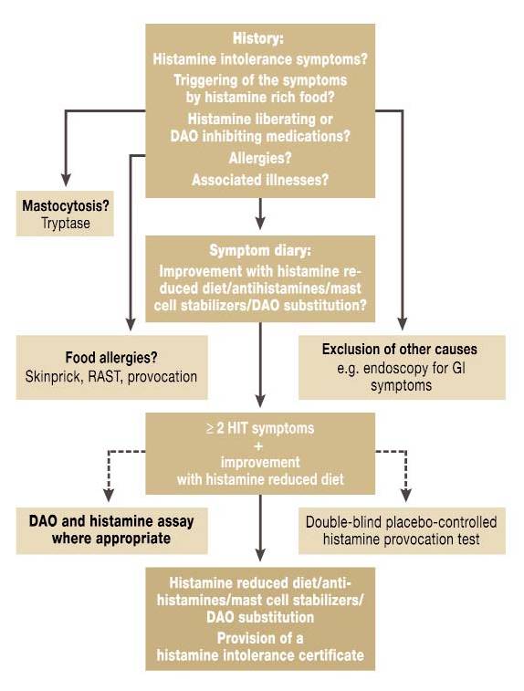 histaminedxpathway.jpg