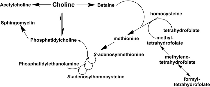 Schema2.png