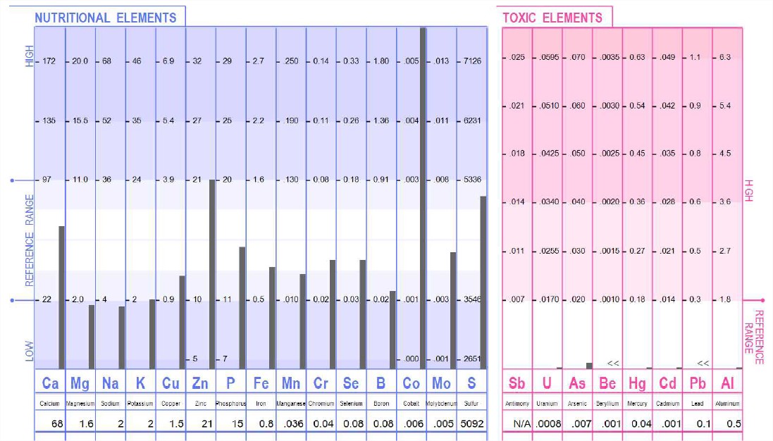 1 NWH_TEI RESULTS-1344080_12-13-2016.pdf (PROTEGE) - Adobe 1.jpg