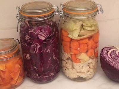 Lacto-Fermentation.jpeg