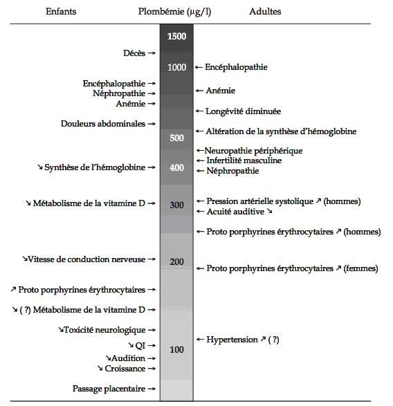 effet-du-plomb-inorganique.jpg