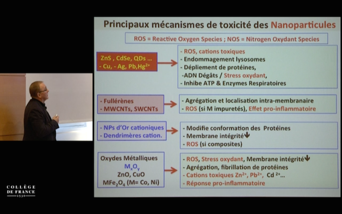 Absence généralisée d'études tissulaires File