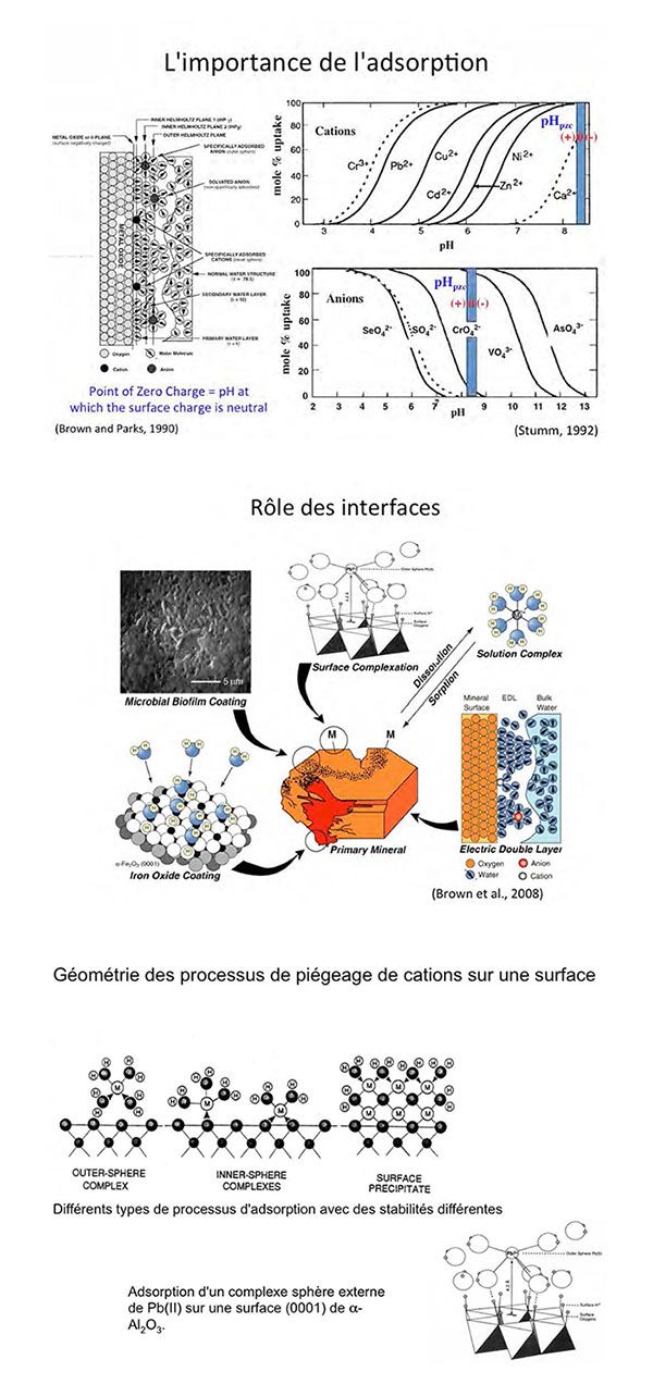 Adsorption.jpg