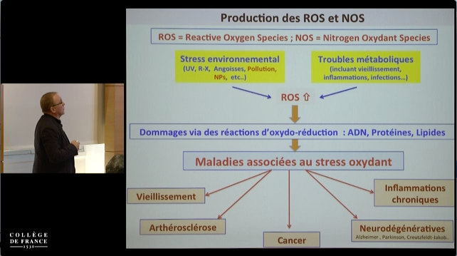 PRATIQUES DE DÉSTOCKAGE DES PARTICULES OXYDANTES File