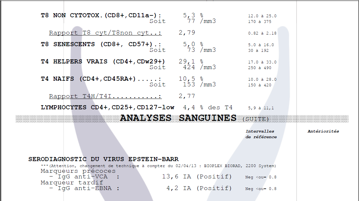 Barla2.png
