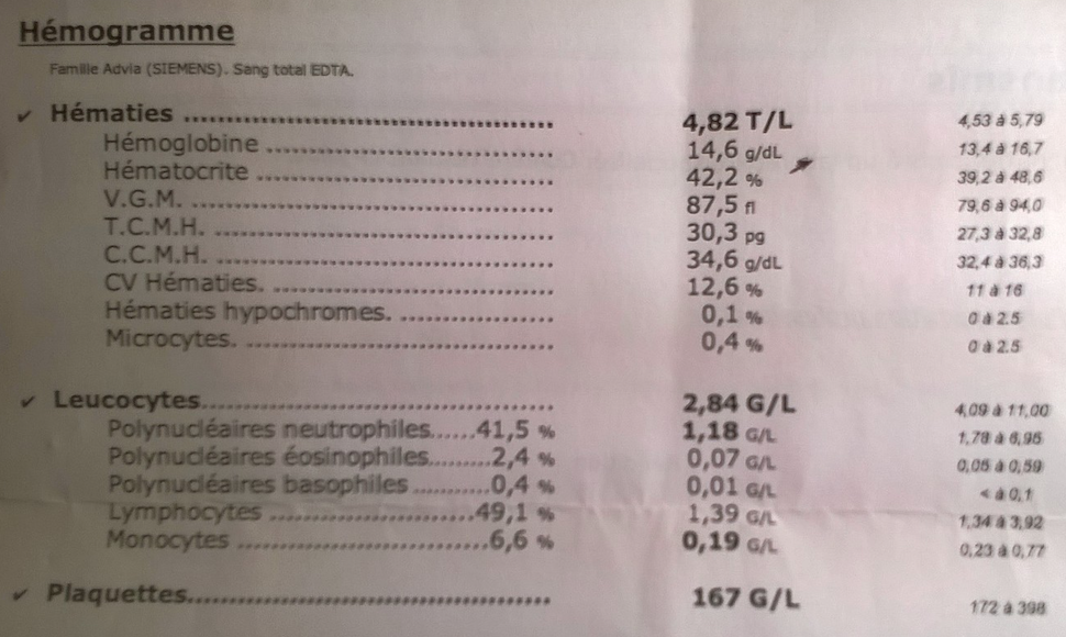 Hémogramme 11.03.png