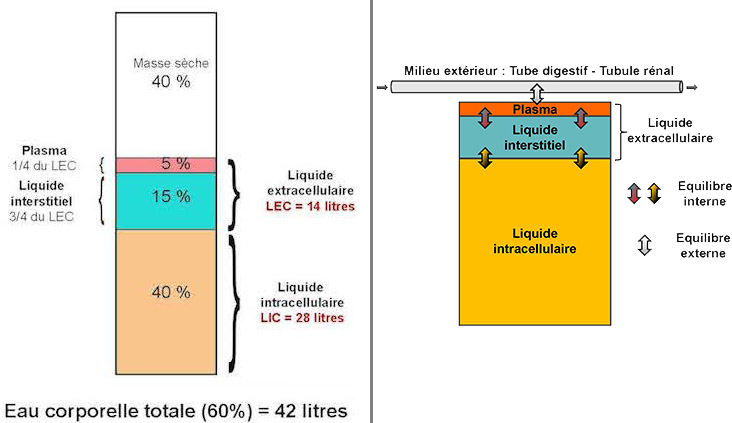 Liquides.jpg