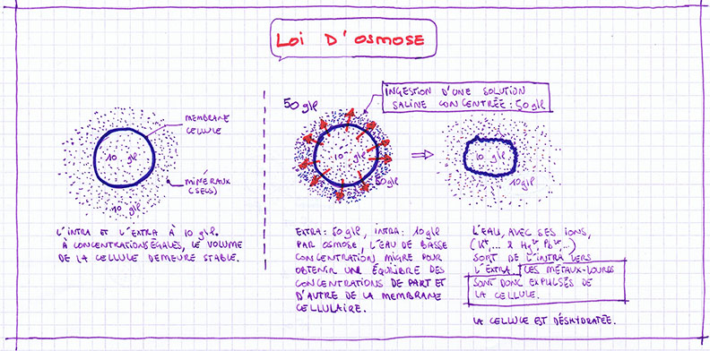 SOPHOCLE : Récapitulatif général (ex-page 14 du F.M.) File