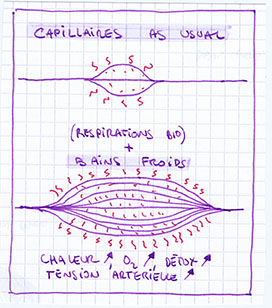 SOPHOCLE : Récapitulatif général (ex-page 14 du F.M.) File